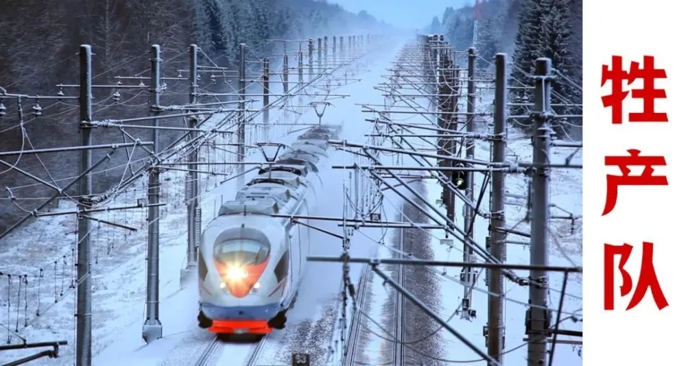 1691283542630410.jpg 1.jpge.webp.jpg